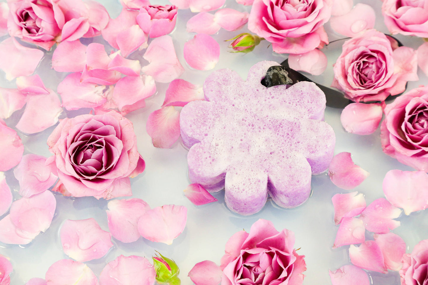 Spongellé | Easter Gifts | Mother's Day 2026 | Spring Gifts - French Lavender Wild Flower | Self-Care Wellness Gifts