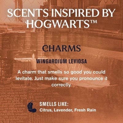 This is Beauty - Every Man Jack Harry Potter Holiday Body Wash Gift Set 3ct - Imperfect Box