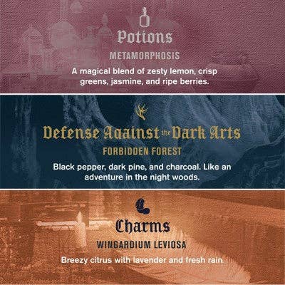 This is Beauty - Every Man Jack Harry Potter Holiday Body Wash Gift Set 3ct - Imperfect Box
