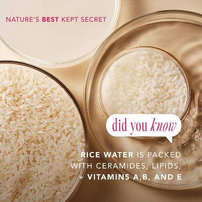 This is Beauty - The Face Shop Rice Water Bright Vegan Cream 1.69 fl oz - New