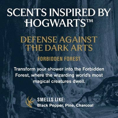 This is Beauty - Every Man Jack Harry Potter Holiday Body Wash Gift Set 3ct - Imperfect Box